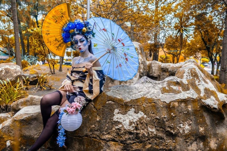 cine erotico japones